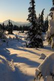DSC_6842.jpg